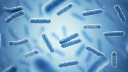 Oksijene gereksinim duymuyorlar: “Elektrik soluyan” bakterilerin sırrı ne?