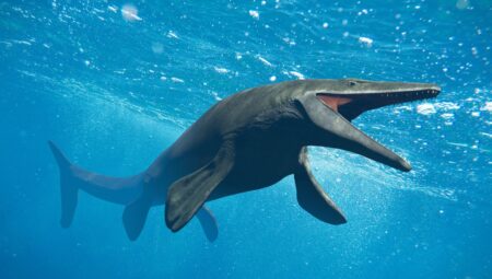 Tüm bildiklerimizi yerle bir eden yumurta fosili