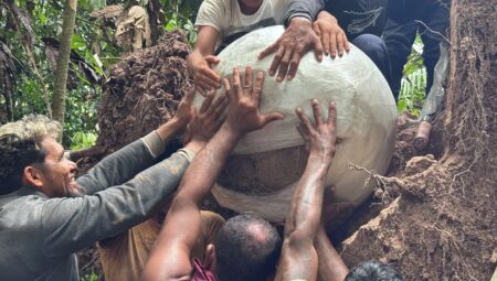 Amazon Ormanları’nda, toprağın altından çıkan gizem