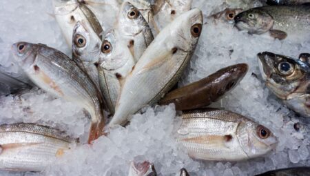 Balıkların sessiz çığlığı: Dakikalar boyunca acı çekiyorlarmış