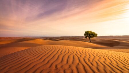 Elektrik olmadan, havadan içme suyu üretmek artık mümkün