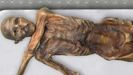 Alplerin Buz Adamı Ötzi’nin komşuları, enteresan DNA dataları sunuyor