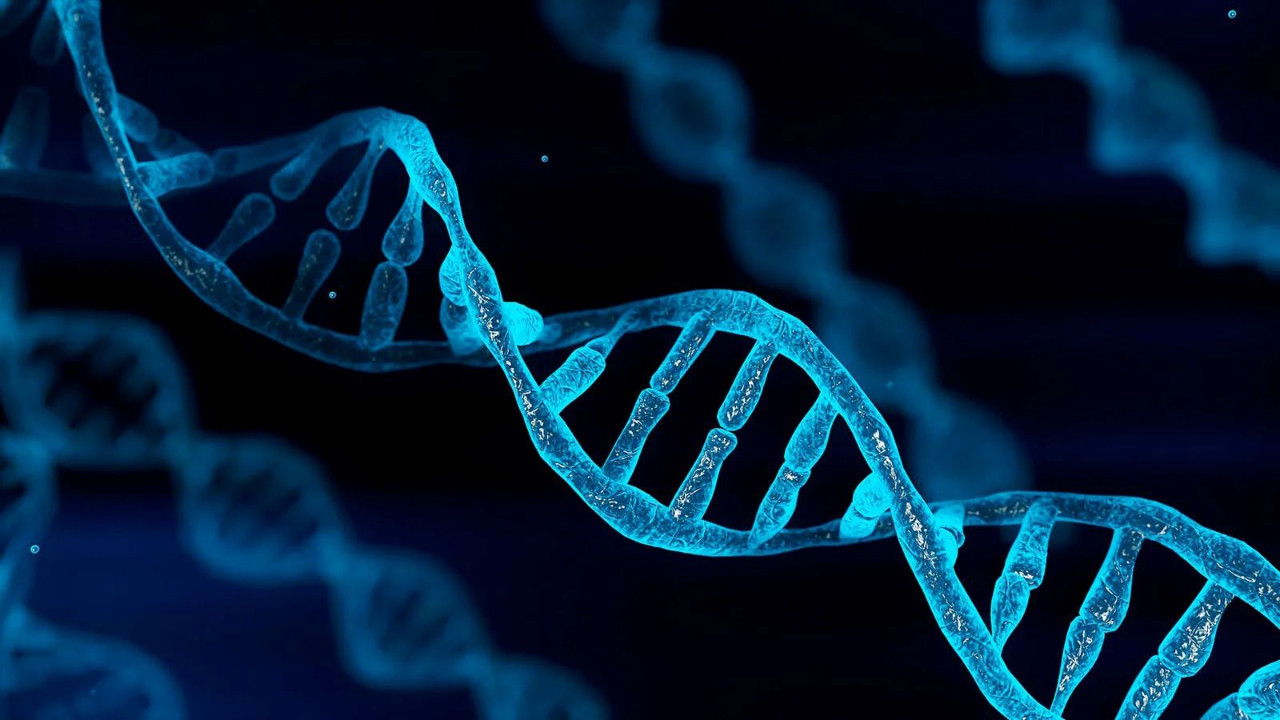Bilim insanları, DNA’mızda saklanmış bâtın bir kod buldular