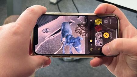 Keneleri cep telefonunuzla nasıl yakalarsınız? En pratik yöntem…