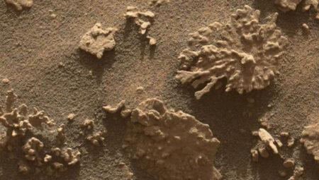 Mars’tan bir farklı kaya daha: Kızıl gezegendeki suyun delili mı?