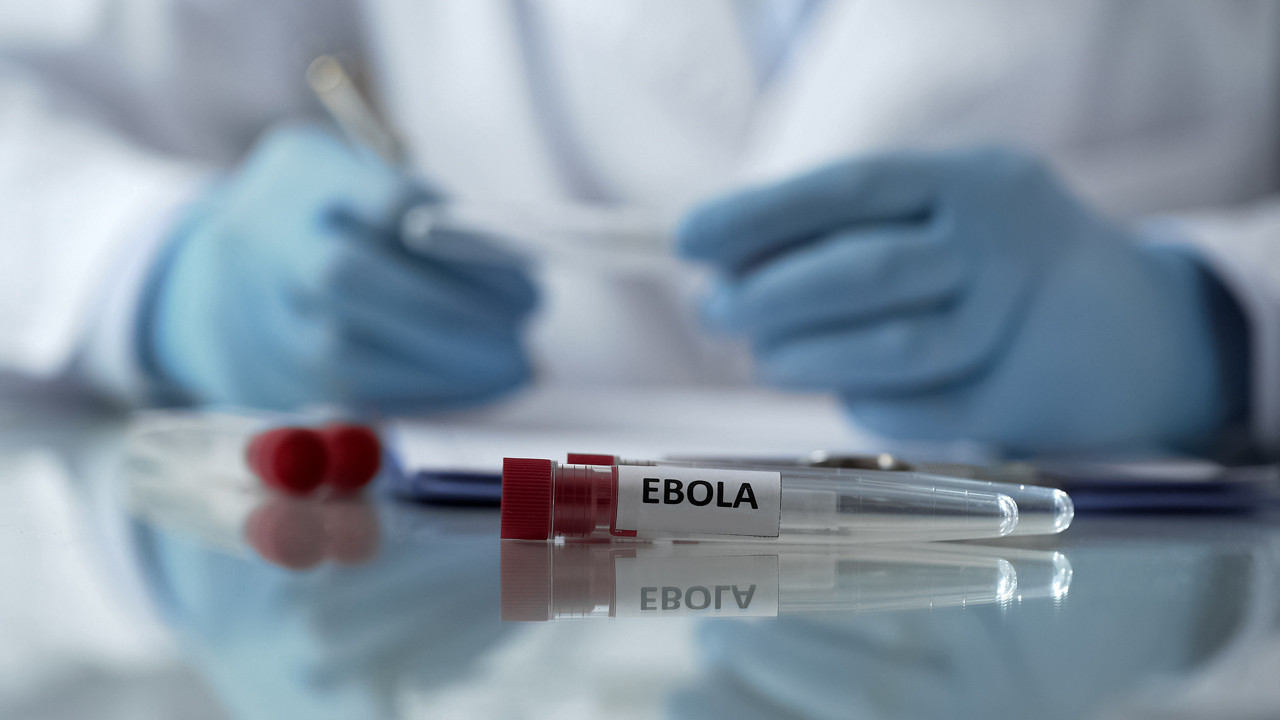 Aşısı ve tedavisi yok: Ebola sonları aşınca acil durum ilan edildi