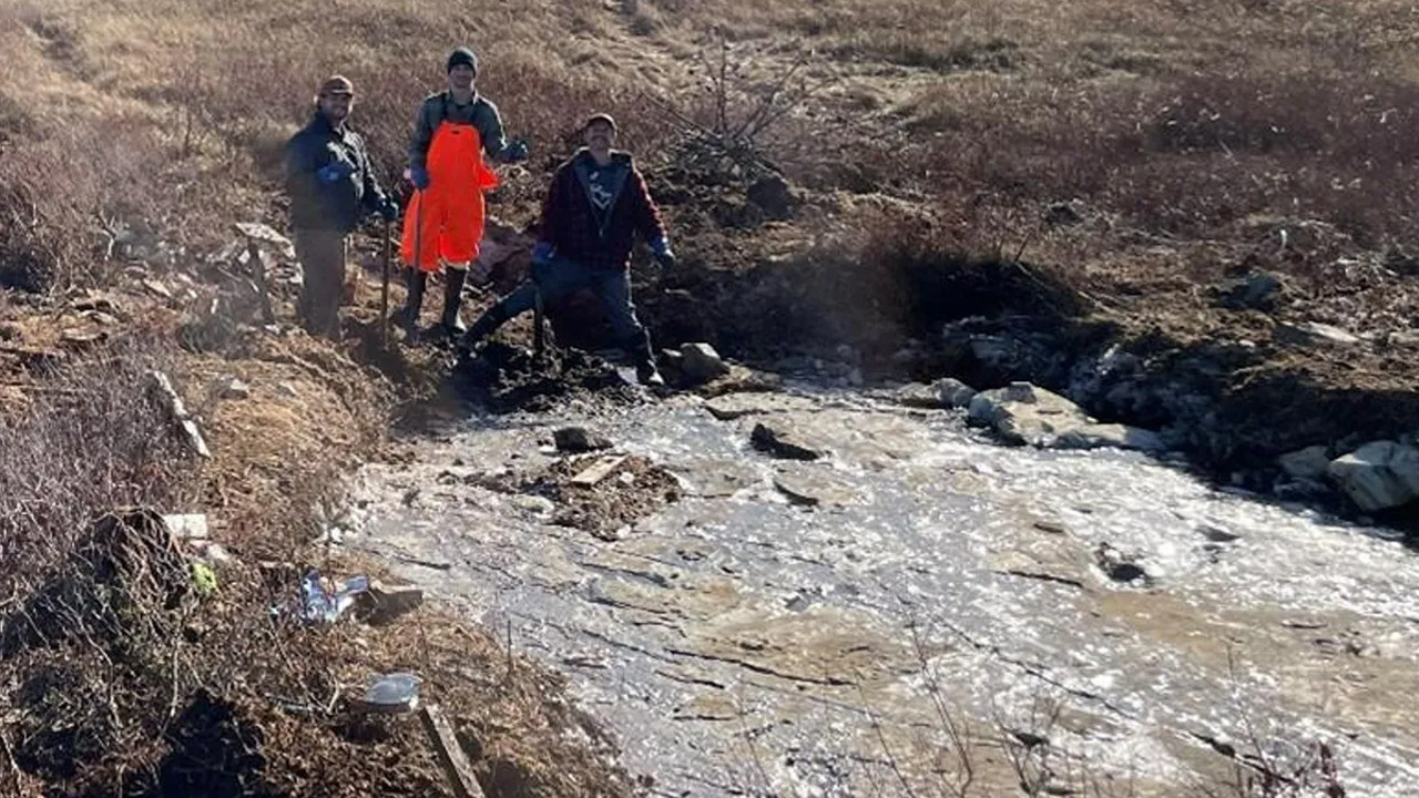 Dünya’nın yazgısını değiştiren felaket: %80’i bir gecede yok oldu
