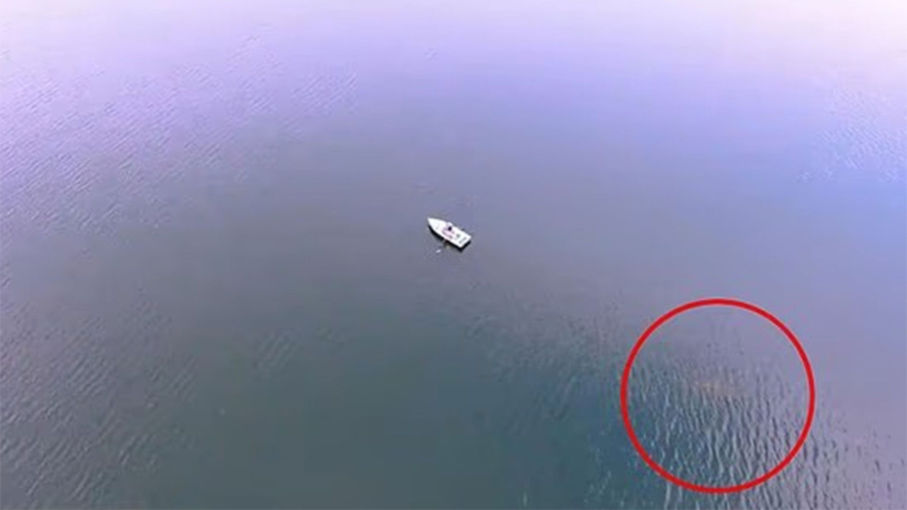 Suların altındaki iki asırlık sır: Amerika’nın Nessie’si kameraya yakalandı