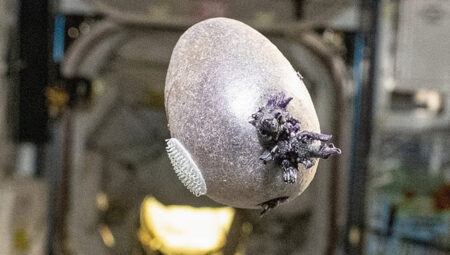 Uzay istasyonunda panik yaratan imaj: NASA astronotu gerçeği açıkladı